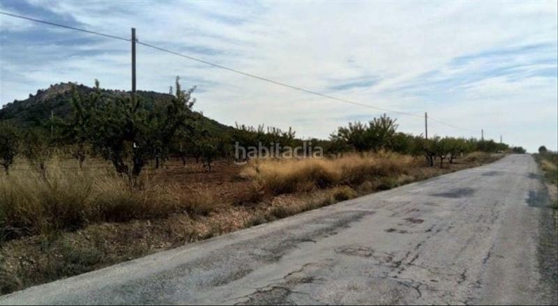 Foto 919b07de-8913-4fe5-b5c5-e84496abe84c. Finca rústica solvia inmobiliaria suelo rústico en Mula