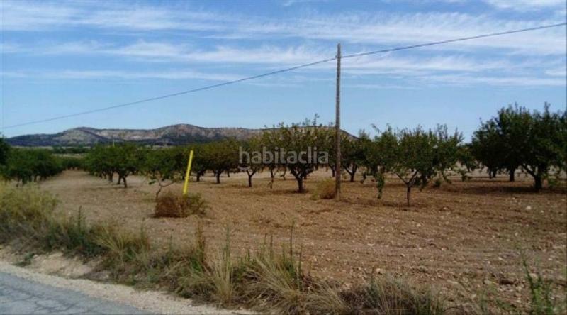 Foto a445e688-5467-45cd-a41f-f0f26c2750e8. Finca rústica solvia inmobiliaria suelo rústico en Mula