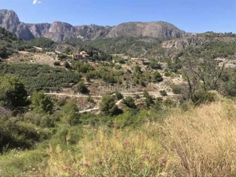 Foto 1de37fe9-5c69-4690-a445-a1847fb1bcd3. Finca rústica a Bolulla