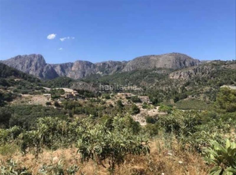 Foto 44ef43a3-2ee9-4b22-ab6c-4d521e9f32d8. Finca rústica a Bolulla