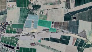 Finca rústica  Diputación de la escucha. Solvia inmobiliaria  terreno con edificación lorca