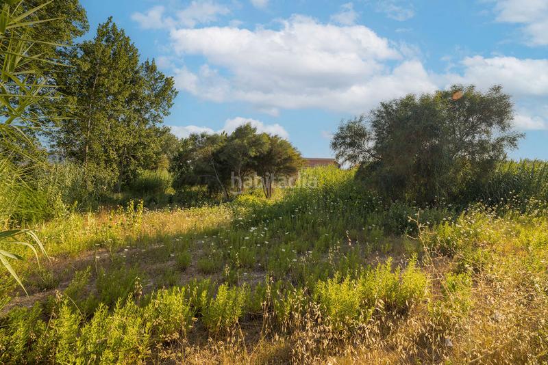 Foto b47608ff-a924-4471-b609-2ead8b5cfe01. Fondo rustico in Devessa - Monte Pego Dénia