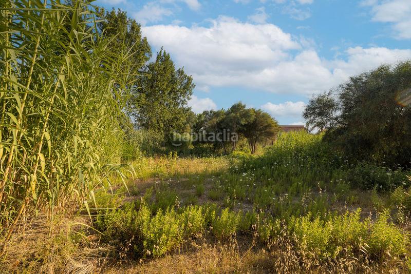 Foto bf0daa76-c630-4c4d-9b1f-ef1810ebb29b. Fondo rustico in Devessa - Monte Pego Dénia