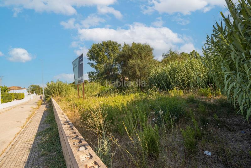 Foto f87d0756-fb3a-488f-9263-4cc39d45b96d. Fondo rustico in Devessa - Monte Pego Dénia