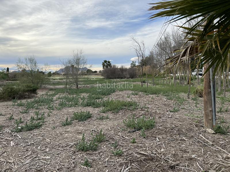 Foto 072b8617-a0ae-4911-8ed5-c1014bd60eb9. Rural plot in Almoradí