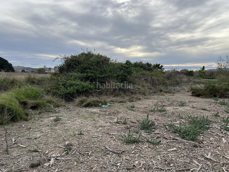 Foto 238483f6-40d7-40a4-8c5c-48062efc2dbd. Rural plot in Almoradí