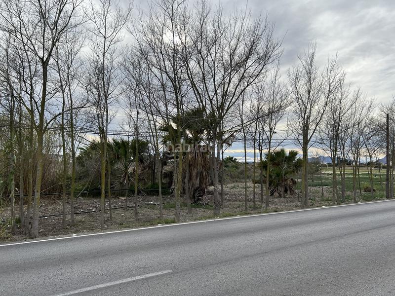 Foto 4411b04e-0875-42ae-af2b-0118f46be16d. Rural plot in Almoradí