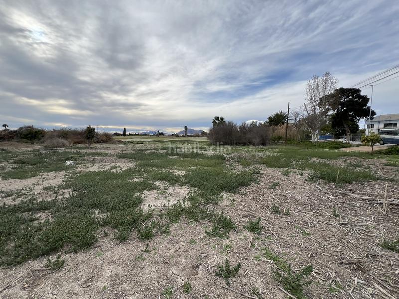 Foto 48b426aa-45cc-41ce-92c7-d03ae9479af8. Rural plot in Almoradí