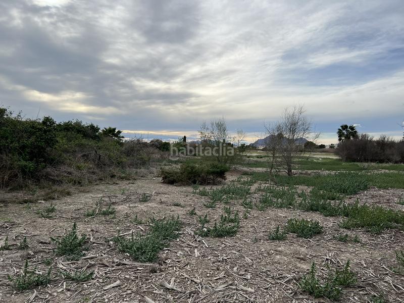 Foto 5ad5c2a7-aa39-4df6-8327-eea6757a6818. Rural plot in Almoradí