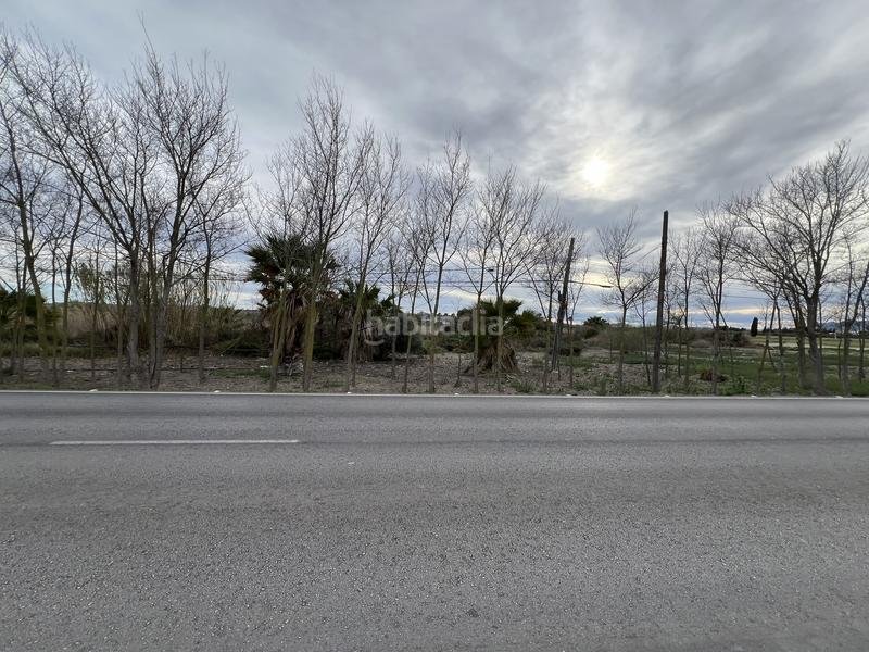 Foto 7083b880-fdb0-4615-a06c-9f0f27fc743b. Rural plot in Almoradí