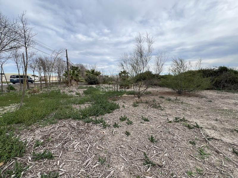 Foto 72f0d9b9-37a4-46f8-913a-eeee8d99c2a5. Rural plot in Almoradí