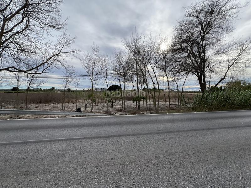 Foto 95890114-fee1-426e-ba90-a38340c7f8be. Rural plot in Almoradí