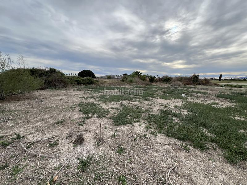 Foto b1e3fa90-5d9c-41f2-b104-a362eceb498e. Rural plot in Almoradí