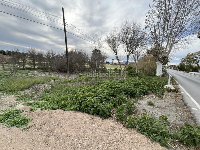 Foto e8f5ce95-dcd9-41df-a7e5-f3745767f496. Rural plot in Almoradí