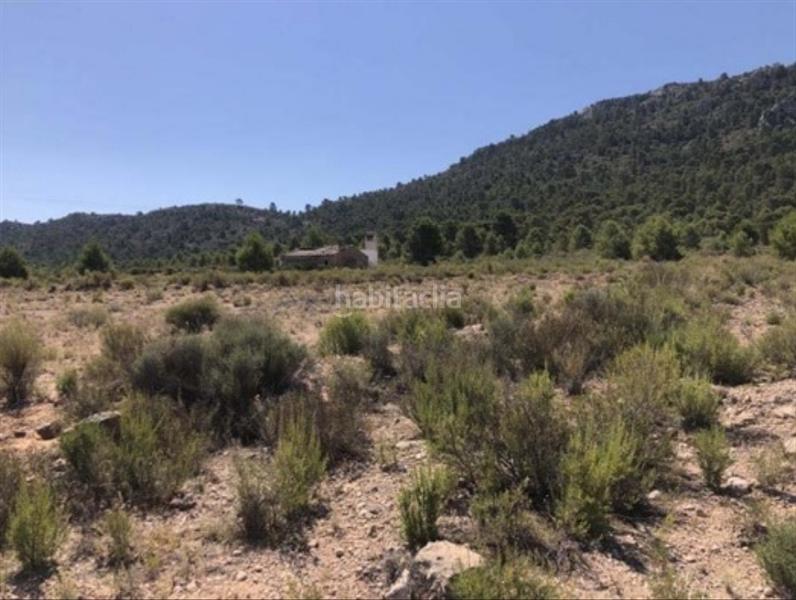 Foto 52448af1-815a-4e6e-b718-2e228f322732. Fondo rustico in Las Virtudes Villena