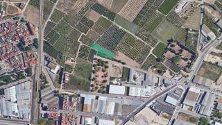 Finca rústica  Partida jara. Solvia inmobiliaria  suelo urbanizable algemesí
