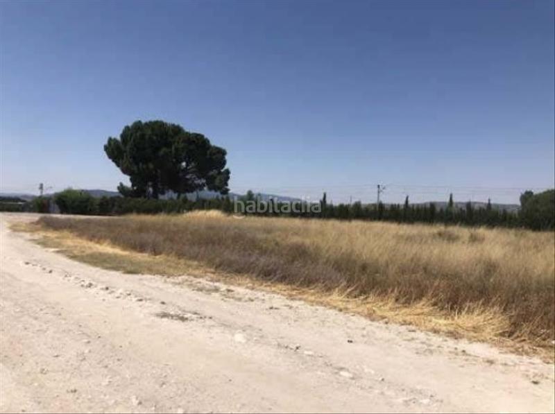 Foto 11c21023-d919-4cbb-8e3d-2fd5fb9485b0. Fondo rustico in Las Tiesas Villena