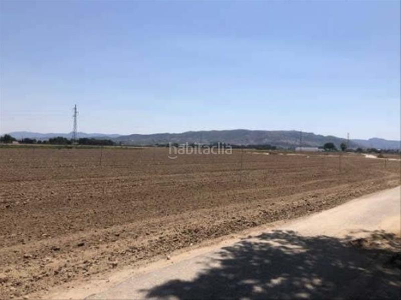 Foto 3e0adb8d-b304-48b4-aae6-5f82512bdedc. Fondo rustico in Las Tiesas Villena