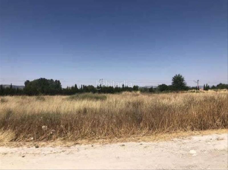 Foto 4d1e87ab-f13e-4132-a56f-948535c520eb. Fondo rustico in Las Tiesas Villena