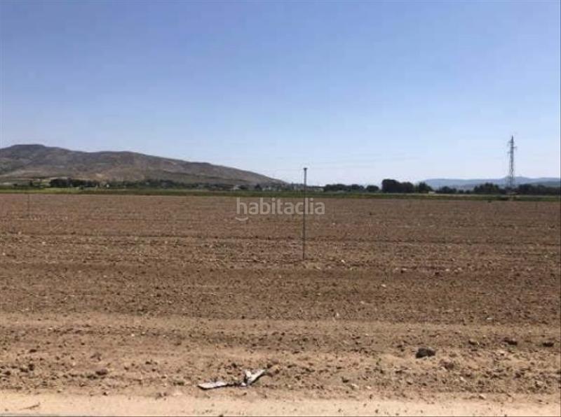 Foto 735cb6a6-13df-4588-afba-47b15a1b9567. Fondo rustico in Las Tiesas Villena