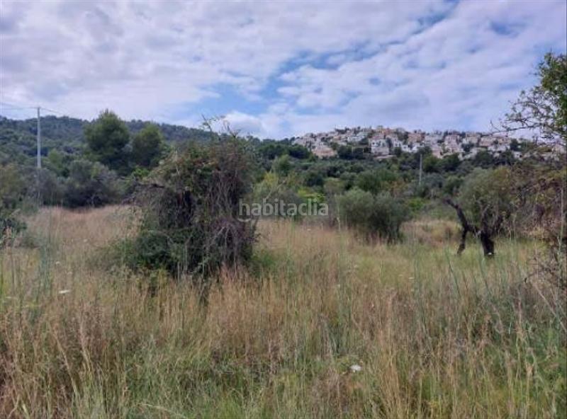 Foto 501ce7a5-b134-4f83-a899-8658454ce565. Finca rústica a Orba