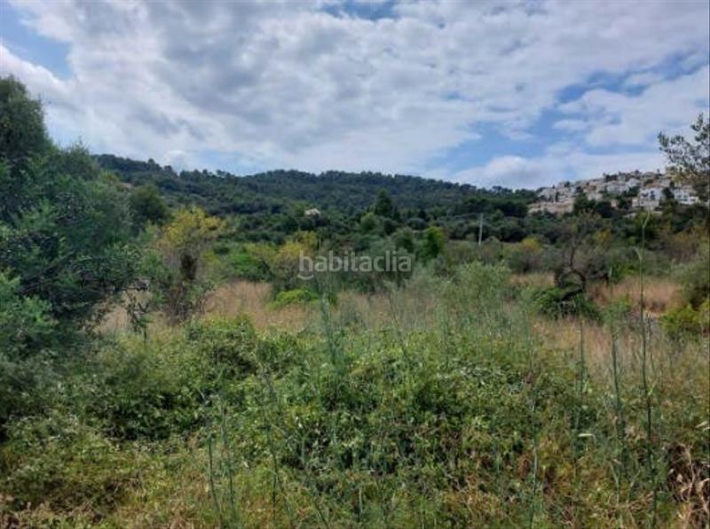 Foto d26d331a-2d0a-4fd8-b11b-5aa63f2349b2. Finca rústica a Orba