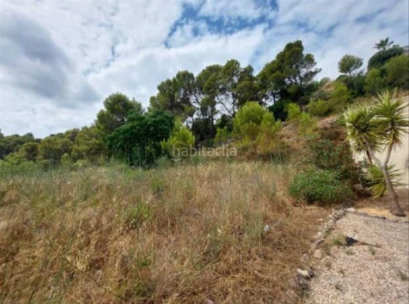 Foto dedce025-6e19-457a-a0bf-027d5d7a2c80. Finca rústica a Orba