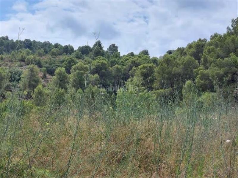 Foto f542f2fd-eba2-4a4f-8a2d-31c773ef5013. Finca rústica a Orba