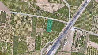 Finca rústica  Paraje rafalatar. Solvia inmobiliaria  suelo rústico oliva