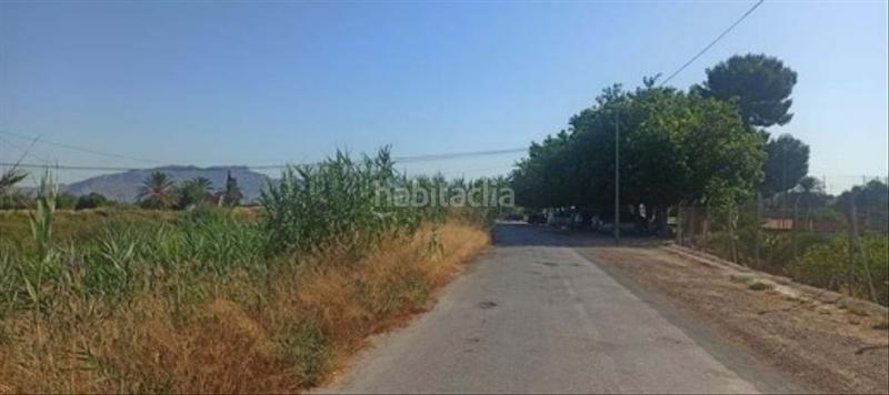 Foto 4c8ae9b0-1bd3-4f54-b159-be64280b2cd8. Finca rústica solvia inmobiliaria solares en Alquerías Murcia