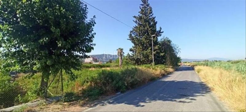 Foto 5eab1429-ad13-4251-953e-aac16ba9454b. Finca rústica solvia inmobiliaria solares en Alquerías Murcia