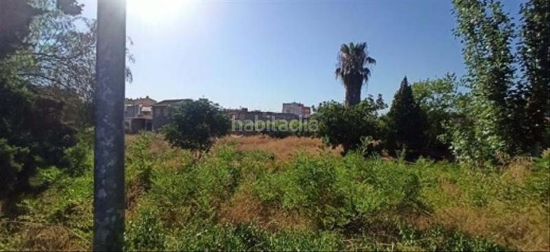 Foto deb40191-a64e-403f-9de4-1ee4e9607a41. Finca rústica solvia inmobiliaria solares en Alquerías Murcia