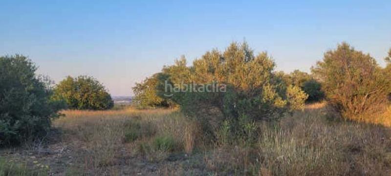 Foto 6394a344-f8f5-41f7-913f-d72440bffba6. Finca rústica a Macastre