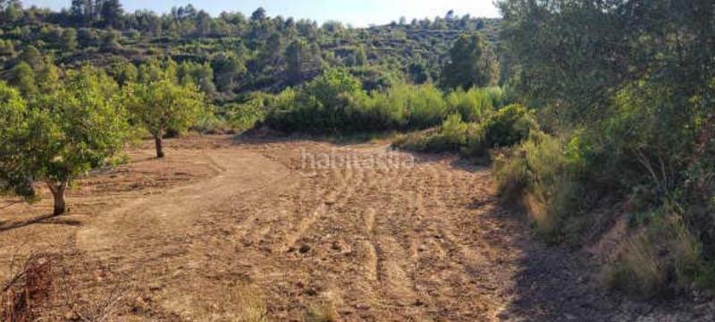 Foto dca73680-bd00-4f72-bbdf-b1c3b72ee7a9. Finca rústica a Macastre