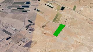 Finca rústica  Paraje conejos, pol 64. Solvia inmobiliaria  suelo rústico jumilla