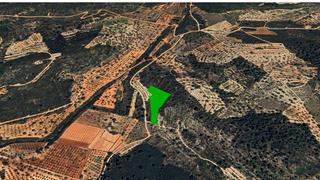 Finca rústica  Paraje el cuartito. Solvia inmobiliaria  suelo rústico benlloch
