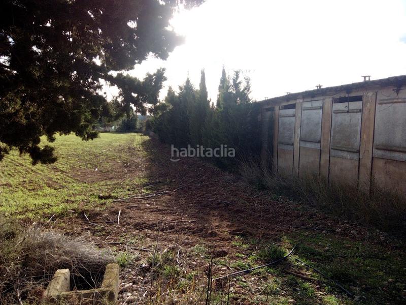 Foto 42effbcc-264f-43d3-8662-f4a04f0518f1. Bâtiment à usage industriel dans Ulldecona