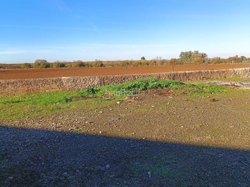 Foto 86fc8700-bc7d-4f01-8e6a-9a0286338f54. Finca rústica solvia inmobiliaria terreno con edificación en Almendral