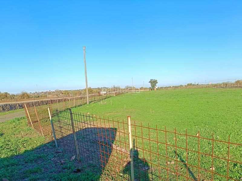 Foto be5f8fee-1569-47d1-833c-c361df9d6270. Finca rústica solvia inmobiliaria terreno con edificación en Almendral