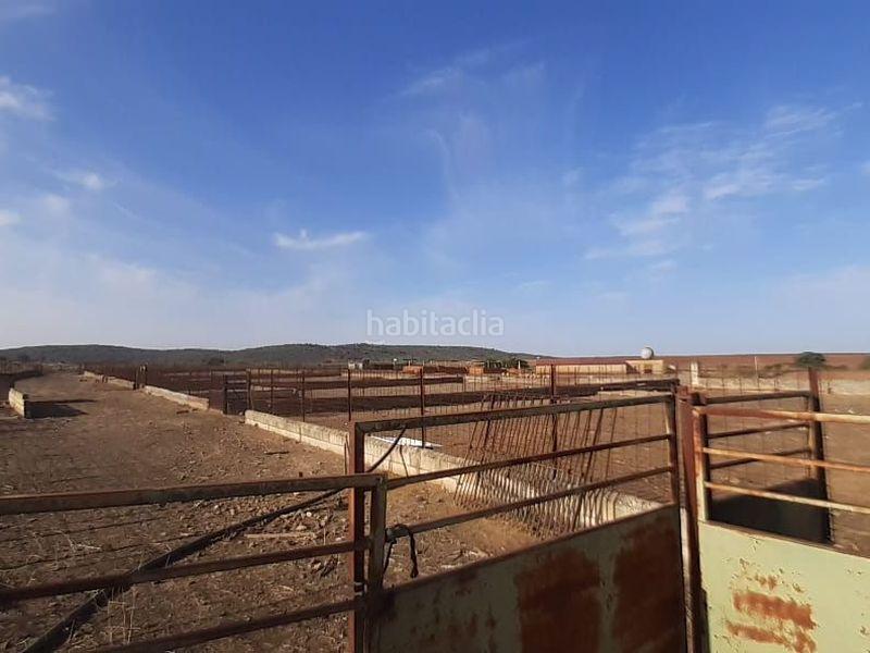 Foto e2907972-ec7f-4b67-ae76-4ff2eb690569. Finca rústica solvia inmobiliaria terreno con edificación en Almendral