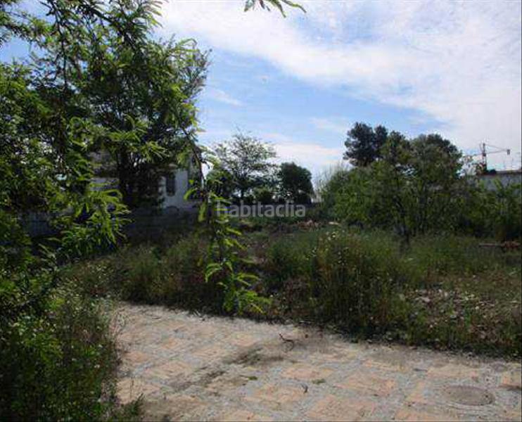 Foto 9bee2aab-7f63-4d79-b5d7-28093efe9e83. Fondo rustico in Écija