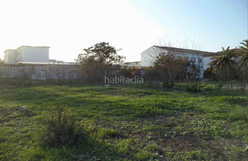 Foto bcb500a1-8037-4989-a0f9-f5487236e1b6. Fondo rustico in Écija