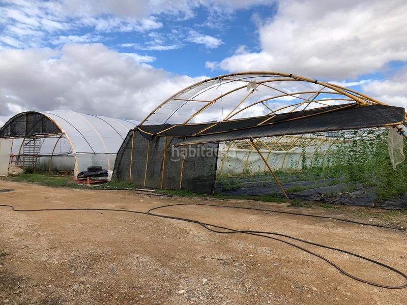 Foto f93fdf60-4cff-4cd0-baa5-548a8618ec46. Bâtiment à usage industriel dans Murchante