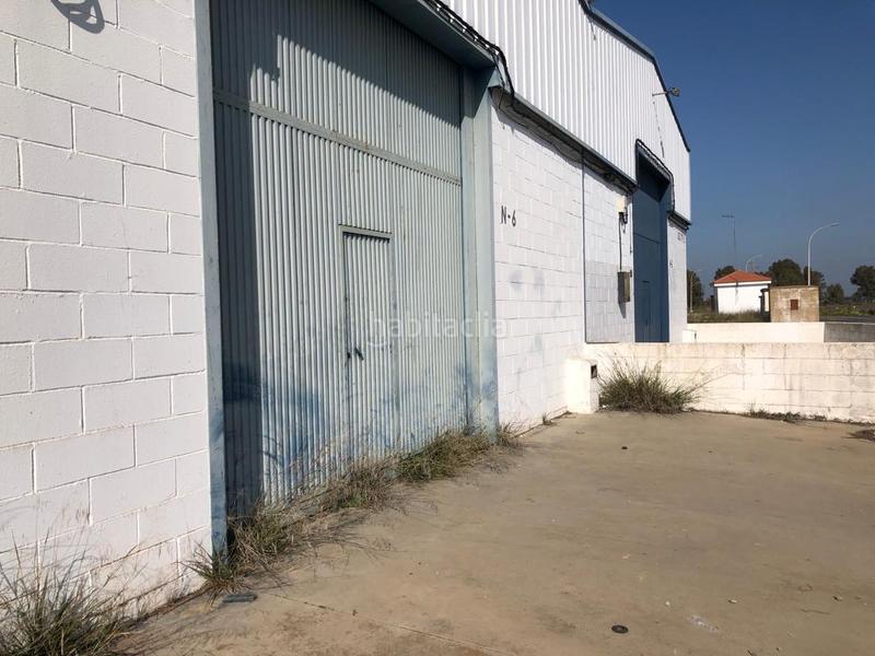 Foto f82ee1e5-5ab3-4a7f-80a2-d987352c1ba1. Fabrikhalle in Nuevo Parque - Los Rosales - Tráfico Pesado Huelva