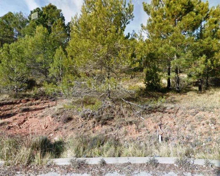 Foto e64a6bd2-cf42-418b-b823-3883b975817f. Finca rústica solvia inmobiliaria suelo urbanizable en Pontons