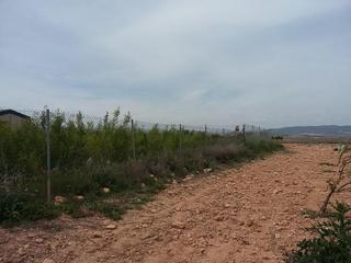 Finca rústica  Poligono. Solvia inmobiliaria  suelo urbanizable caudete de las fuentes