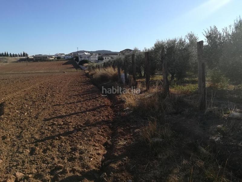 Foto 2f078d3f-acd5-4a05-af67-58434f072607. Finca rústica solvia inmobiliaria suelo urbanizable en Mollina