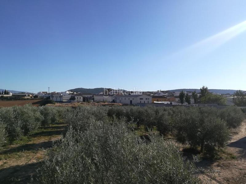 Foto b76260aa-68ff-4613-98cf-9e7c463fe8fd. Finca rústica solvia inmobiliaria suelo urbanizable en Mollina