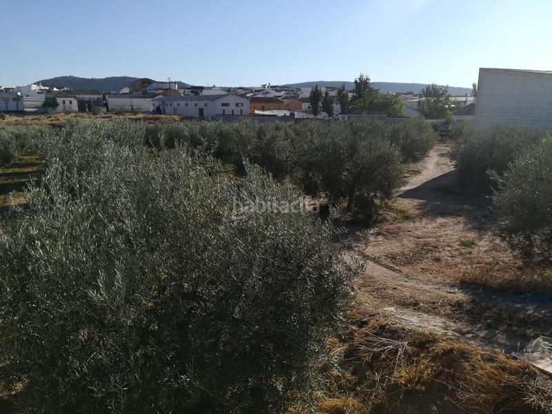 Foto e2c8e7f0-0269-452d-9de5-338a9d729786. Finca rústica solvia inmobiliaria suelo urbanizable en Mollina