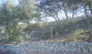 Finca rústica  C/ vereda alta. Solvia inmobiliaria  suelo rústico torre del campo